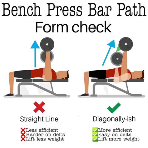 During the movement, the upper arms should be about 45 to 60 degrees from the torso and the hips should remain on the bench. Technique Tips. A spotter should be ...